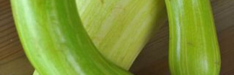 Zuccalba