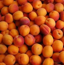 Apricots in Moscato grappa