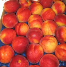 Peach and Amaretti purée