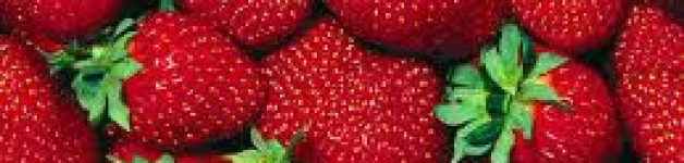The strawberries